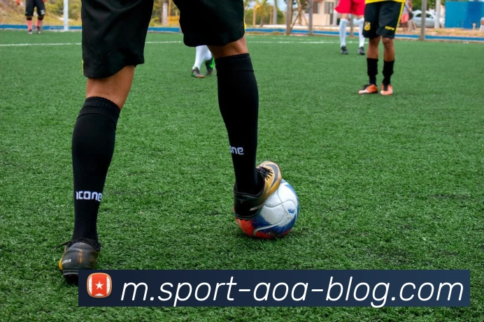 AOA体育平台生态图