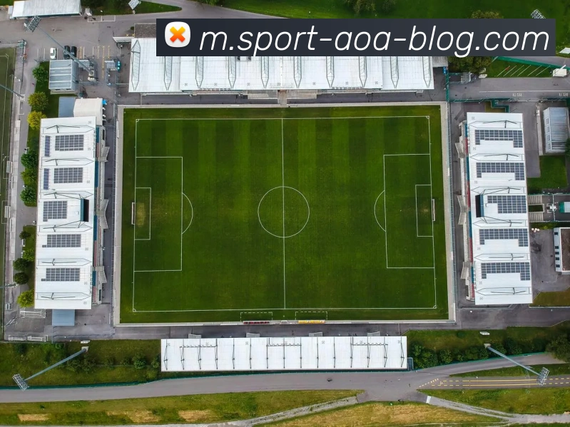 AOA体育APP 封面图